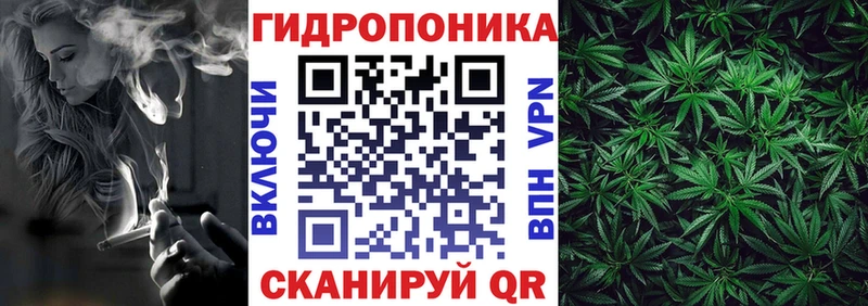 Купить закладки  Лаишево  Конопля Amnesia 