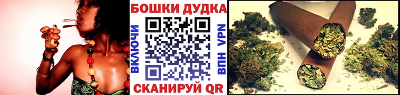 Бошки Шишки Amnesia Лаишево